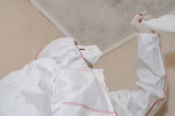 Best Mold Removal for HVAC Installations  in Gridley, CA