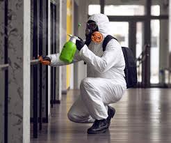 Best Residential Mold Inspection & Testing  in Gridley, CA